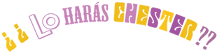 lo haras chester